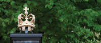 Columbia crown with leaves in background.